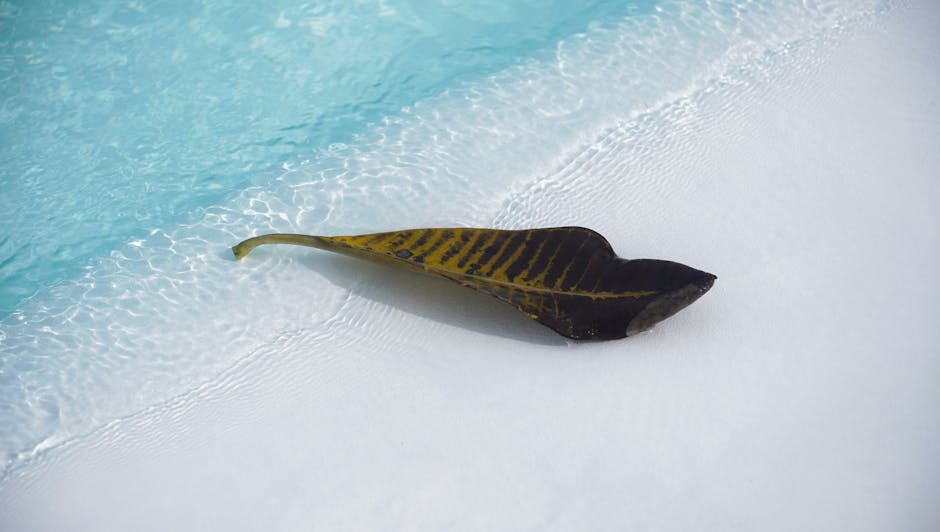 Käselaib schwimmt in einem Salzbad aus Wasser und Meersalz